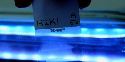 Biobank histology research slide tissue QC technician review